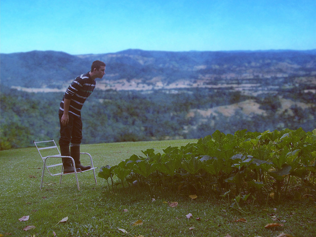 Photo of a teenager standing on a chair in a field, looking hopefully at a grove of short but growing plants.