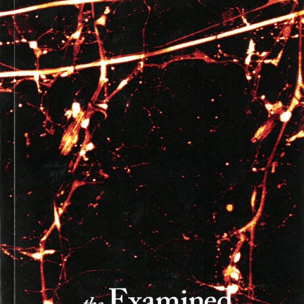 Cover Gallery The Examined Life Journal