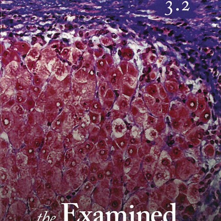 Cover Gallery The Examined Life Journal